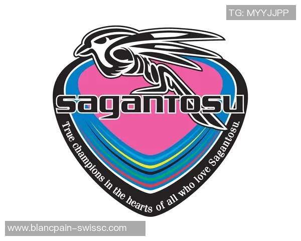 恒大足球队队徽背后的故事与文化象征解析